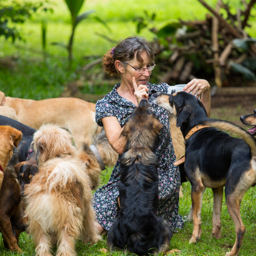 Image showcasing The Hidden Dangers of Worm Infestations in Multi-Pet Households