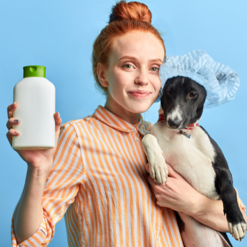 DIY Flea Control: Homemade Shampoos and Sprays for Your Pets