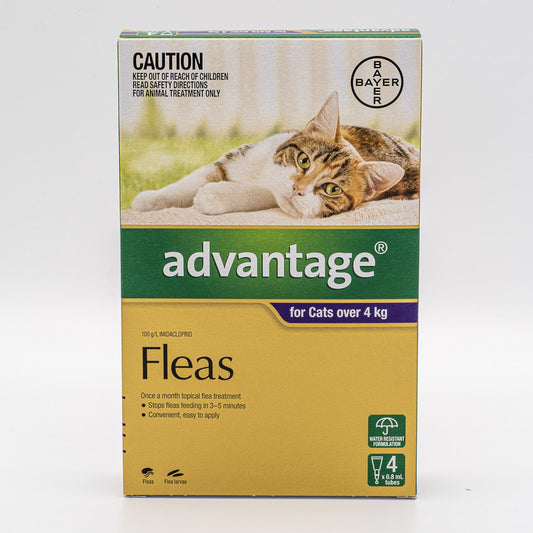 ADVANTAGE LARGE CAT OVER 4KG 4PACK