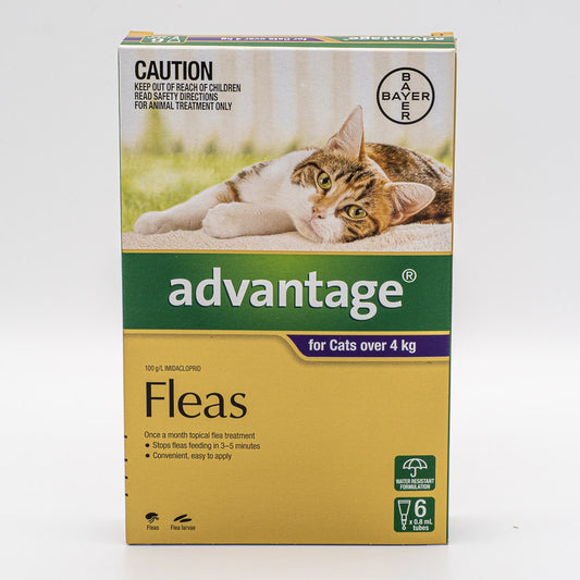 ADVANTAGE LARGE CAT OVER 4KG 6PACK