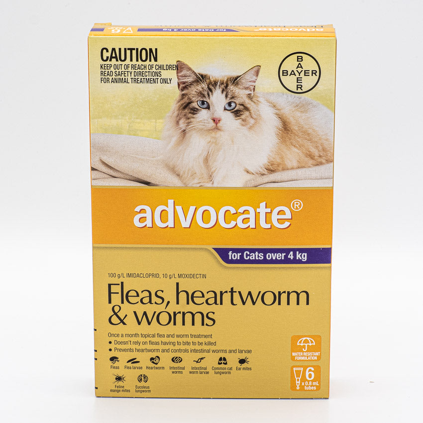 Worming Treatments for Cats