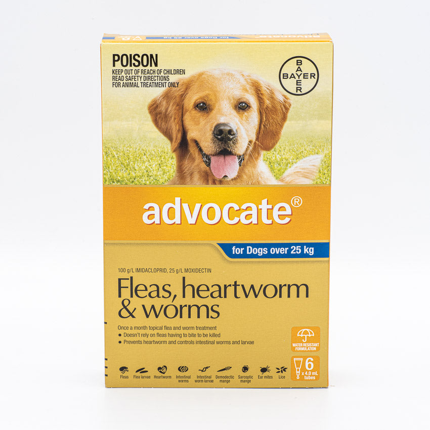 ADVOCATE DOG XLARGE BLUE OVER 25KG 6PACK