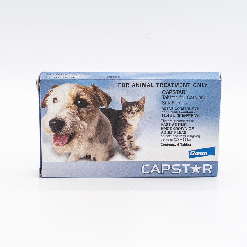 Capstar for Cats