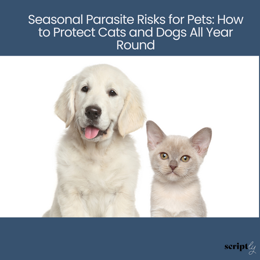 Seasonal Parasite Risks for Pets: How to Protect Cats and Dogs All Year Round