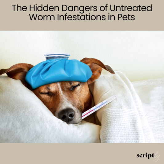 The Hidden Dangers of Untreated Worm Infestations in Pets