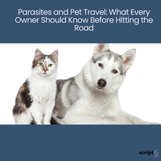 Parasites and Pet Travel: What Every Owner Should Know Before Hitting the Road