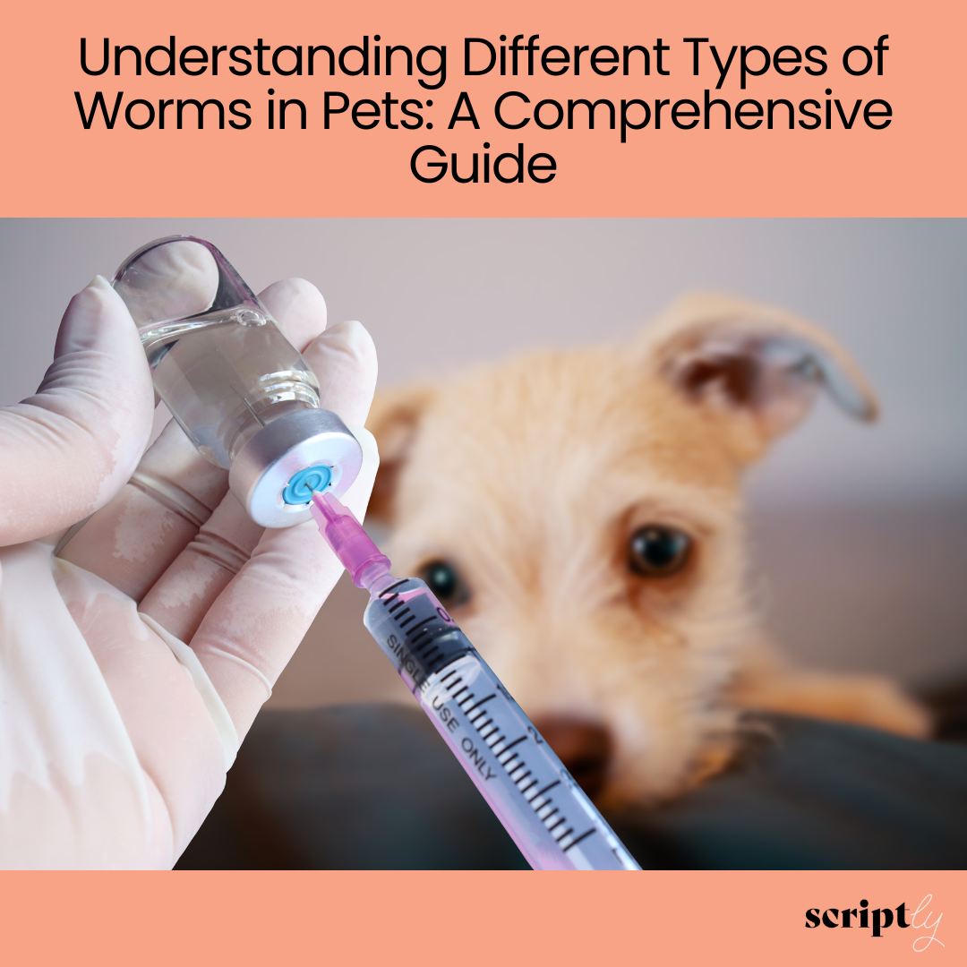 Understanding Different Types of Worms in Pets: A Comprehensive Guide