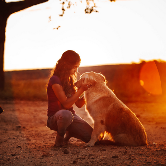 Zoonotic Worms: What You Need to Know About Worms That Can Spread from Pets to Humans