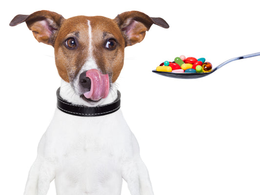 How to Choose the Right Online Pet Pharmacy in Australia