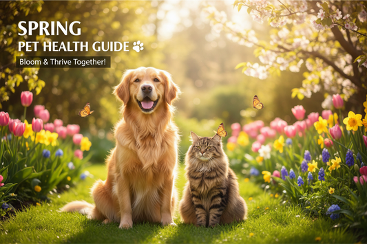 Spring Pet Health Guide: Allergies, Parasites and What to Watch For in Australia