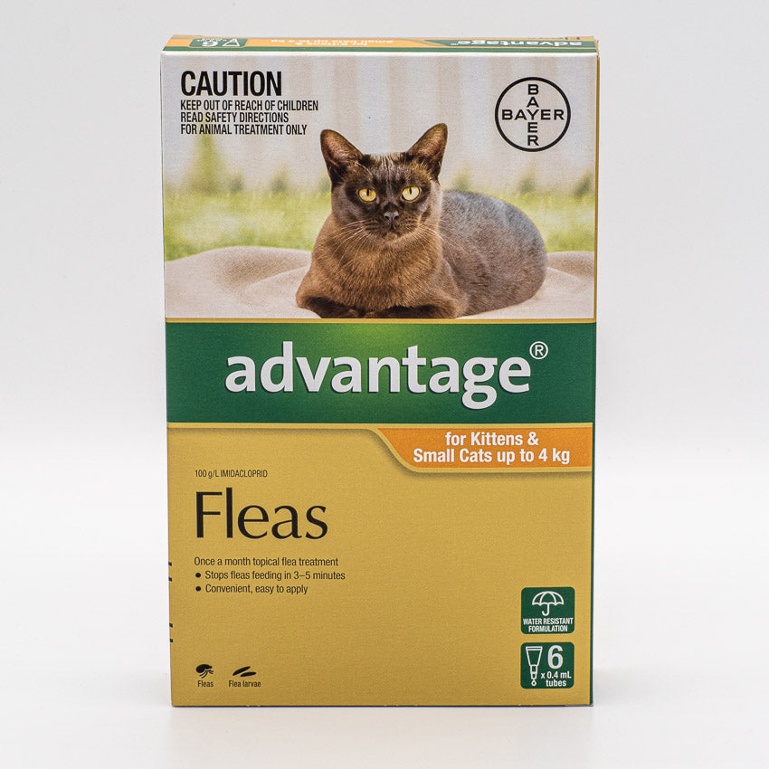 ADVANTAGE SMALL CAT 0-4KG 6PACK