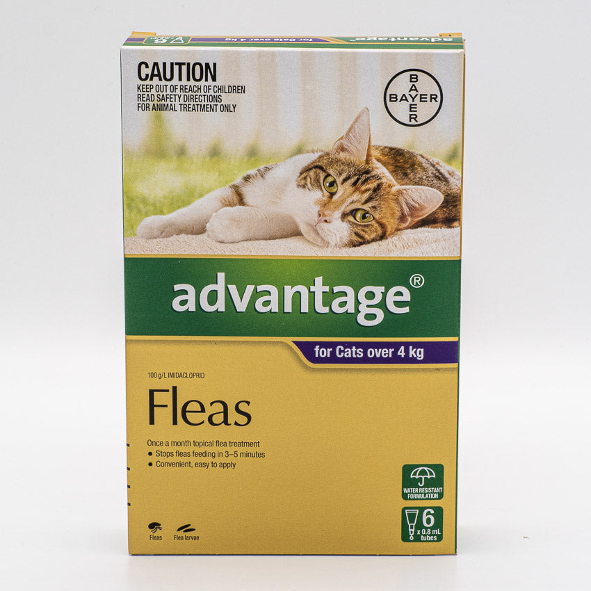 ADVANTAGE LARGE CAT OVER 4KG 6PACK