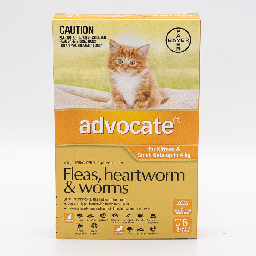 ADVOCATE CAT SMALL ORANGE 0-4KG 6PACK