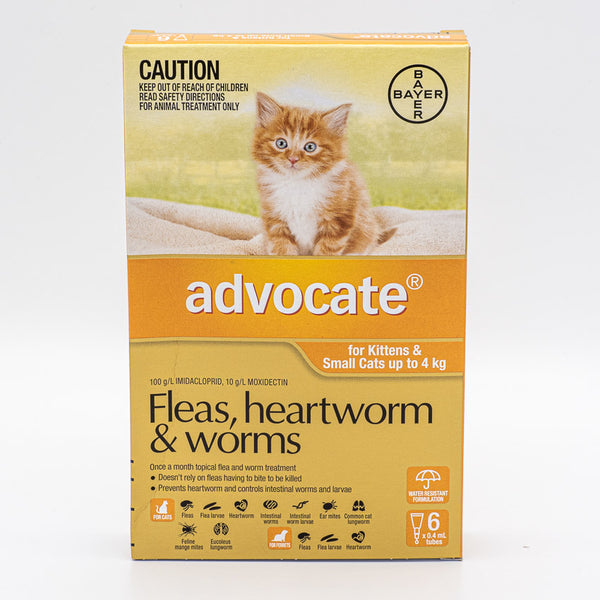 ADVOCATE CAT SMALL ORANGE 0-4KG 6PACK Scriptly