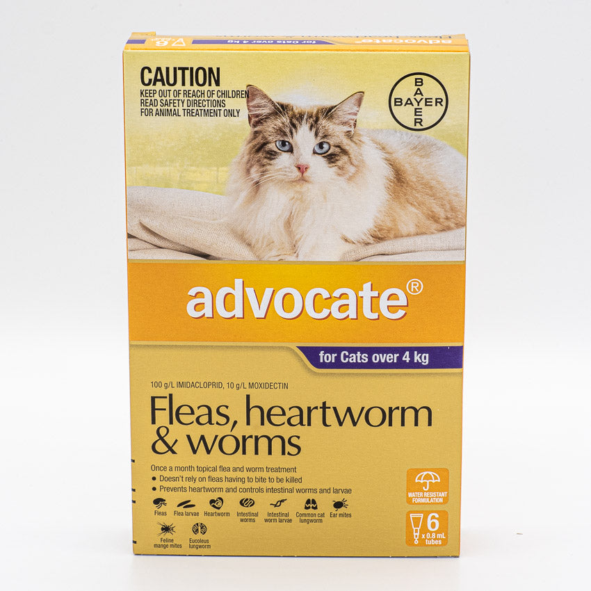 ADVOCATE CAT LARGE PURPLE OVER 4KG 6PACK